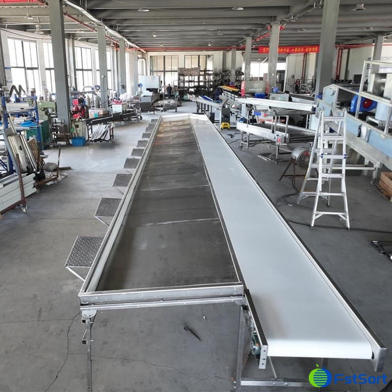 mesa de envasado de uvas..jpg mesa de envasado de uvas..jpg